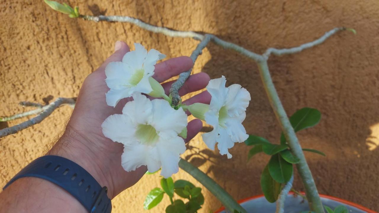 Myoli Wellness & Happiness Bnb Плая дел Кармен Екстериор снимка