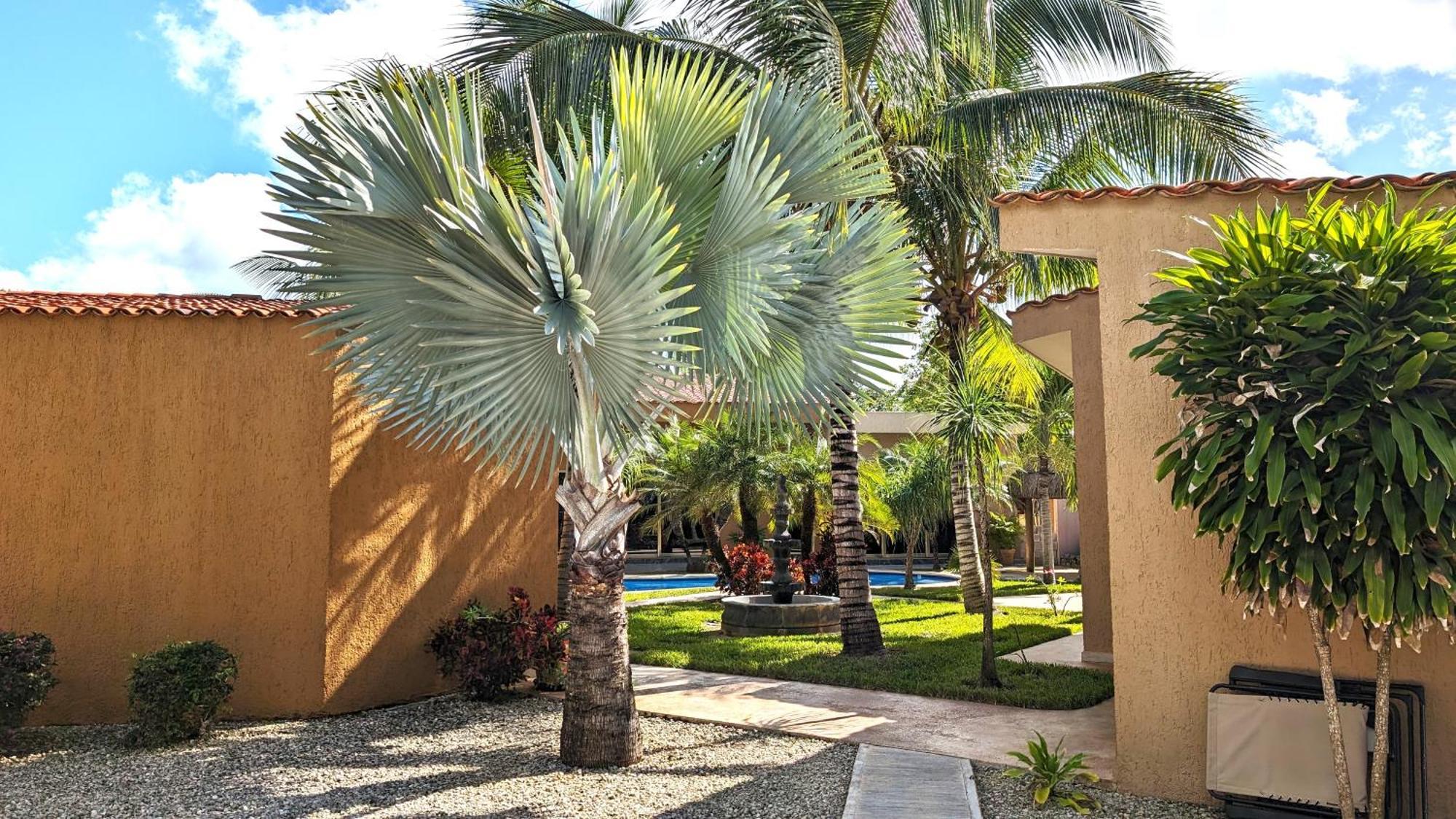 Myoli Wellness & Happiness Bnb Плая дел Кармен Екстериор снимка